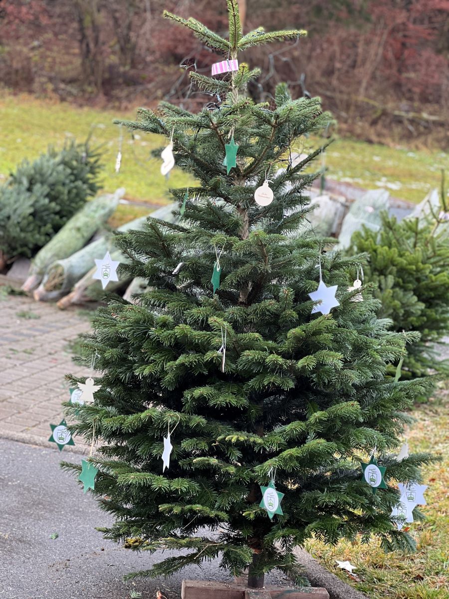 Weihnachtsbaumverkauf 2021